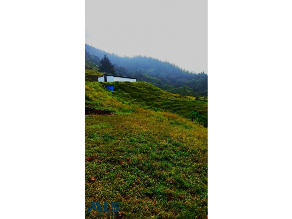 Gran Oportunidad Inversión Caldas, Antioquia!(MLS#256536) - 6