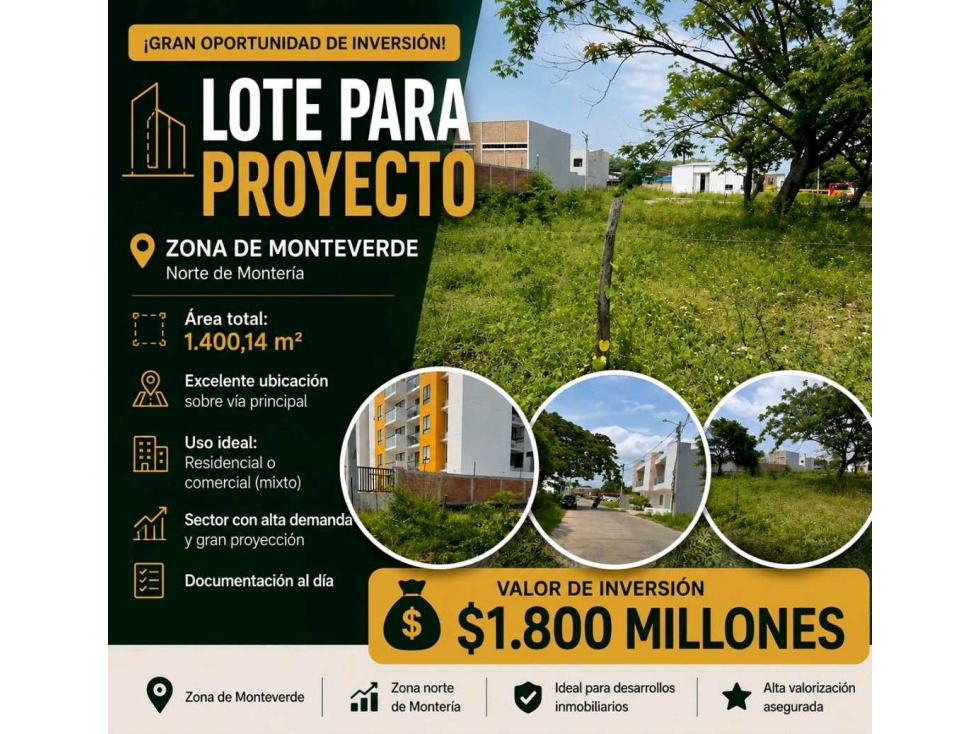 ¡GRAN OPORTUNIDAD PARA DESARROLLADORES E INVERSIONISTAS! LOTE EN VENTA