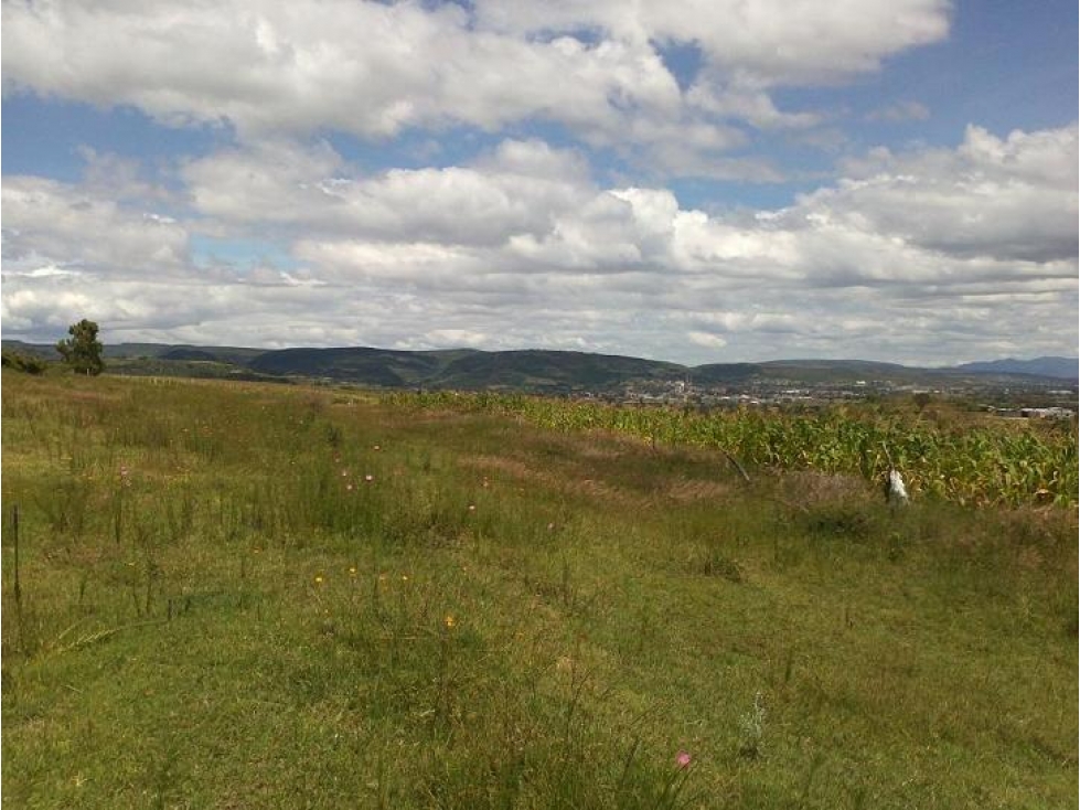 Gran Oportunidad: Terreno Habitacional de 24,701 m² en Tarímbaro - 4