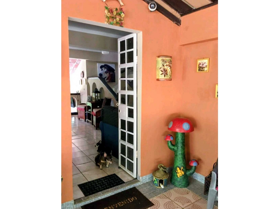 Oferta Vendo hermosa casa campestre en Dolega y te regalamos otra! — foto 4