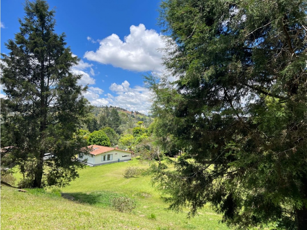 GRAN OPORTUNIDAD VENTA FINCA EN GUARNE - EXCELENTE UBICACIÓN — foto 4