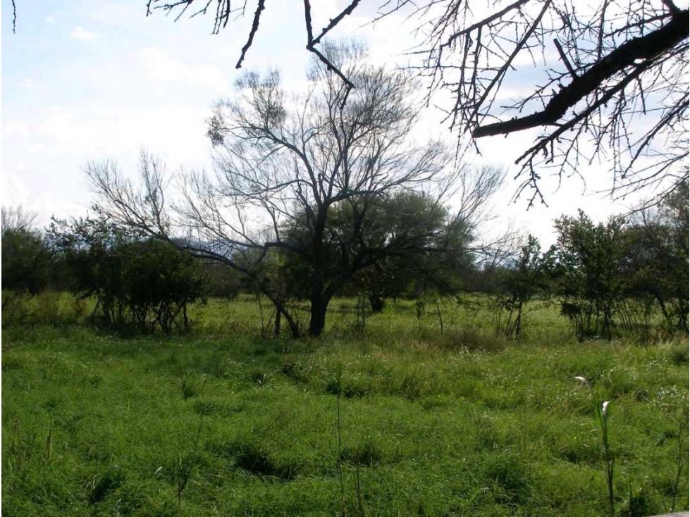 Gran Terreno de Más de 24 Hectáreas en Sabinas Hidalgo, Nuevo León - 4