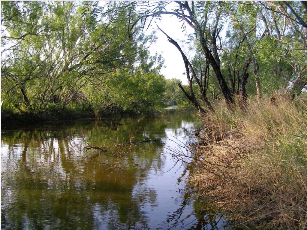 Gran Terreno de Más de 24 Hectáreas en Sabinas Hidalgo, Nuevo León - 5