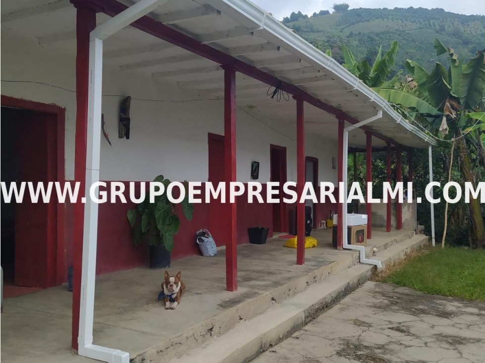 GRANDIOSA CASA FINCA EN VENTA - SECTOR SONSÓN COD: 32360 - 2
