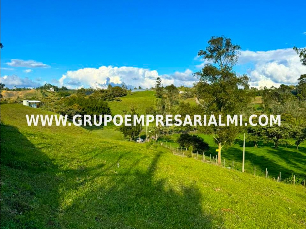 GRANDIOSO LOTE EN VENTA - SECTOR LAS GARZONAS COD: 31324