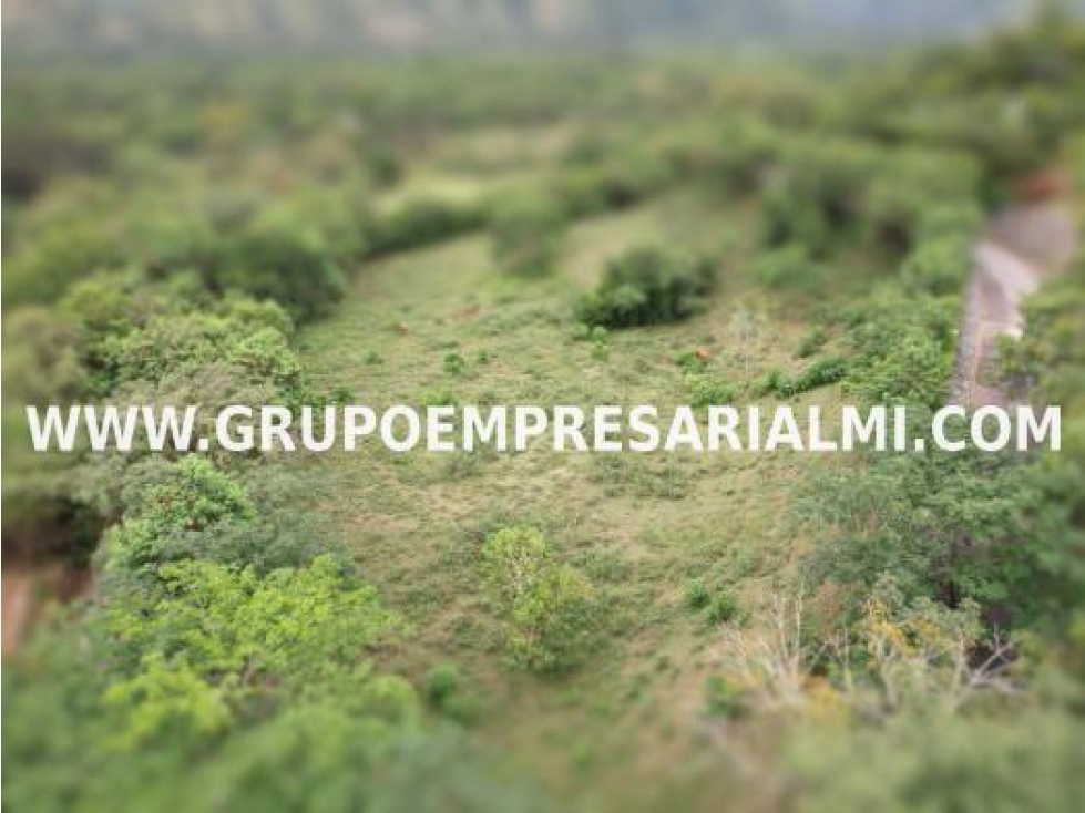 GRANDIOSO LOTE EN VENTA - SECTOR SANTAFÉ DE ANTIOQUIA COD: 30603 - 1
