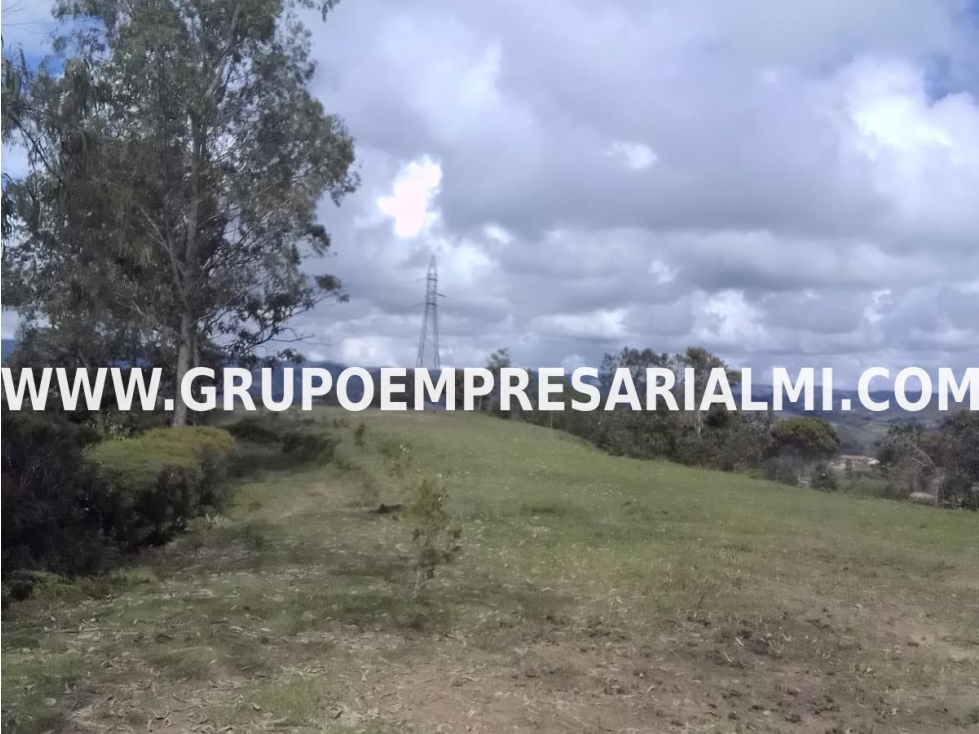 GRANDIOSO LOTE EN VENTA - SECTOR ALTO DEL MERCADO COD: 31191