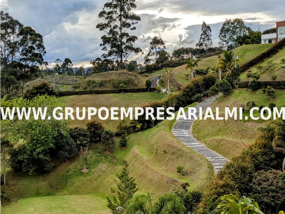 GRANDIOSO LOTE EN VENTA - EL CARMEN DE VIBORAL COD: 33273