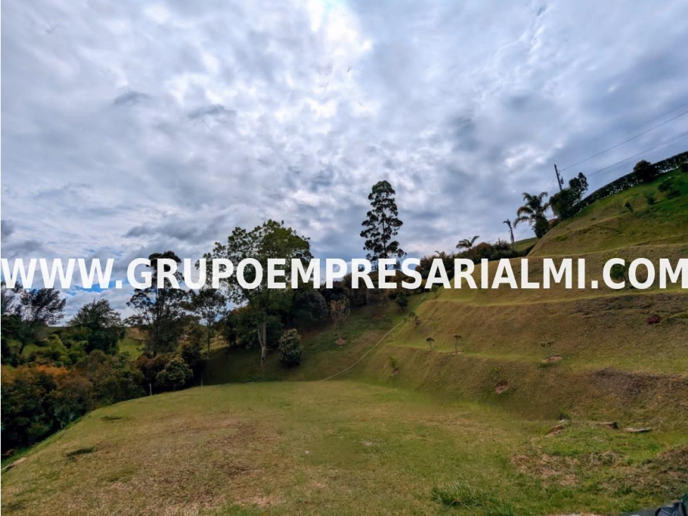 GRANDIOSO LOTE EN VENTA - EL CARMEN DE VIBORAL COD: 33273 — foto 3