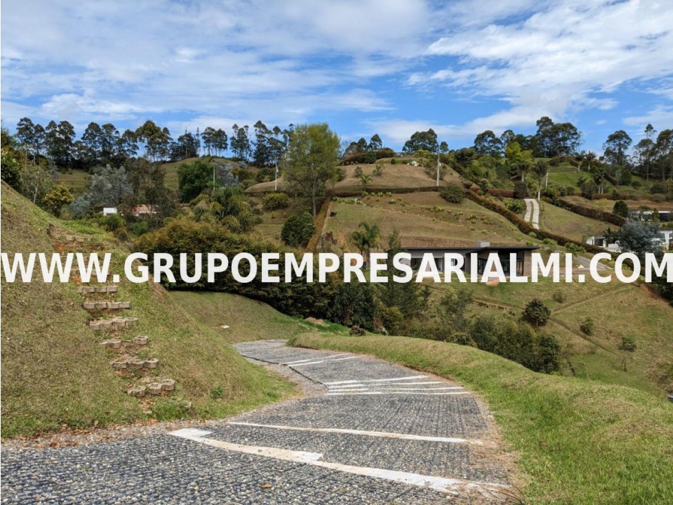 GRANDIOSO LOTE EN VENTA - EL CARMEN DE VIBORAL COD: 33273 — foto 6