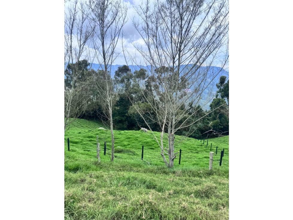 Grandiosos lotes en guarne Alto de la Virgen — foto 5