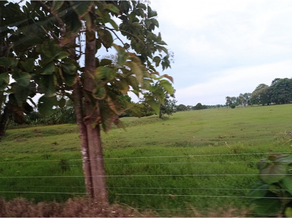HACIENDA BOLA DE ORO O LA TRINIDAD - 2