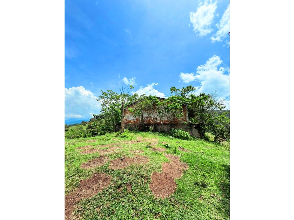Hacienda en Venta - Antioquia Caldas - 3