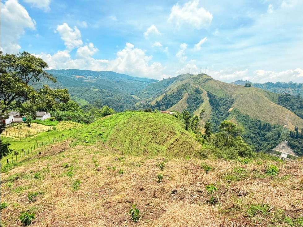 Hacienda en Venta - Antioquia Caldas - 4