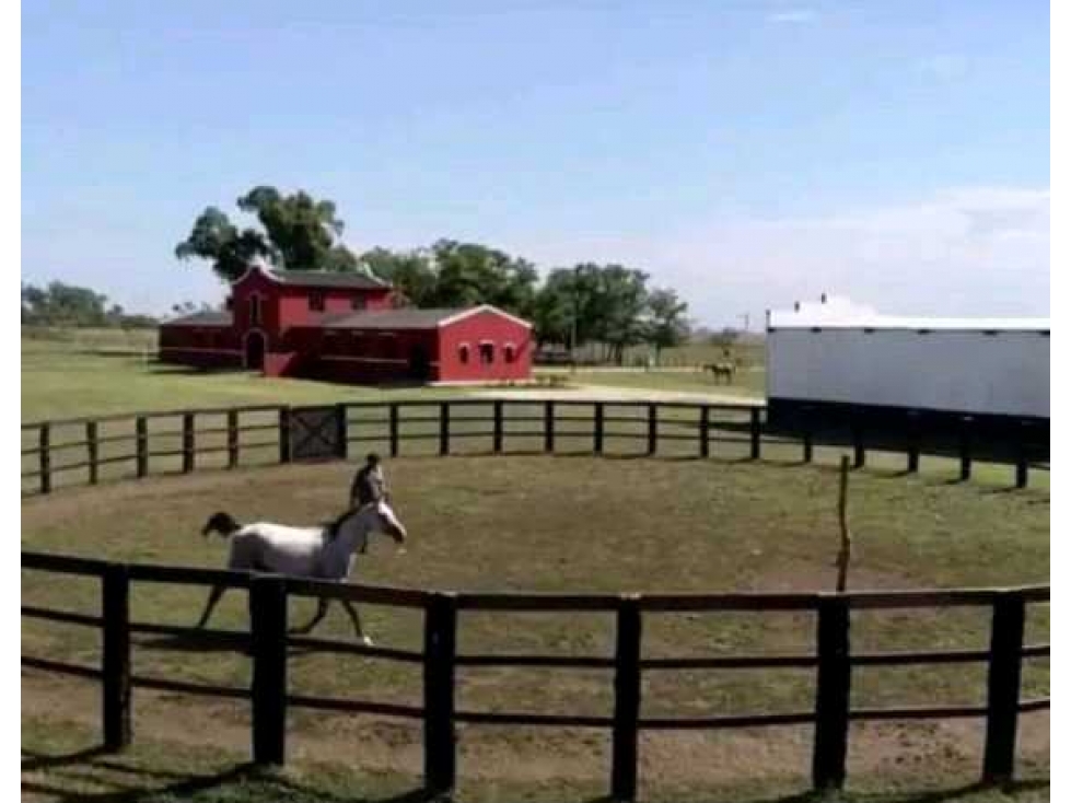 HARAS 30 HECTAREAS, BRANDSEN, BUENOS AIRES, ARGENTINA - 1