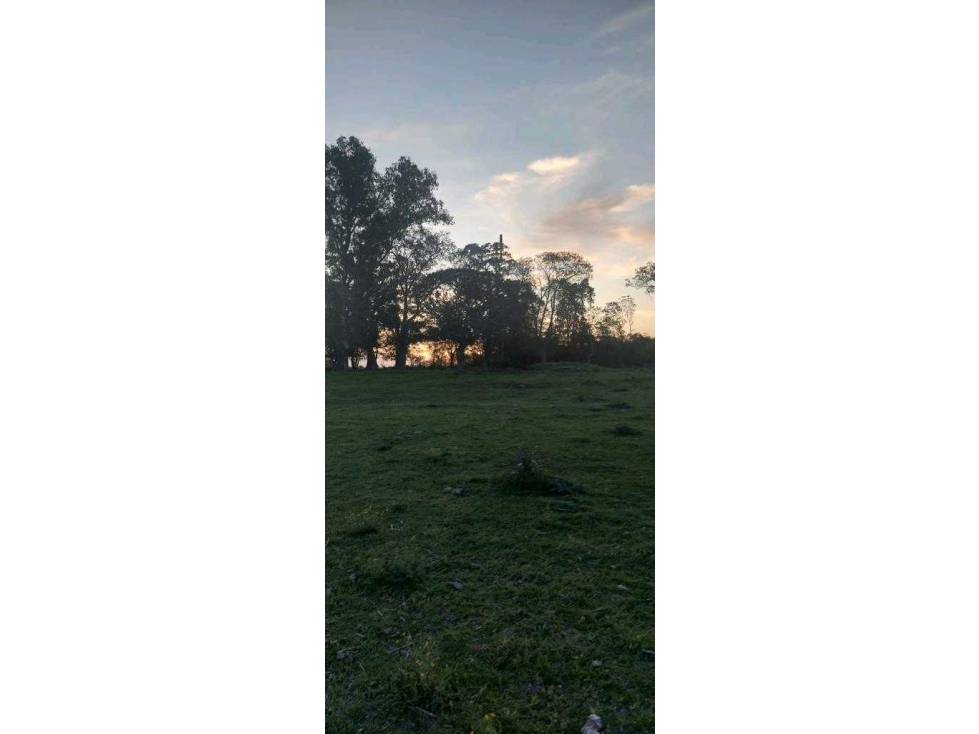 HARAS 30 HECTAREAS, BRANDSEN, BUENOS AIRES, ARGENTINA - 3