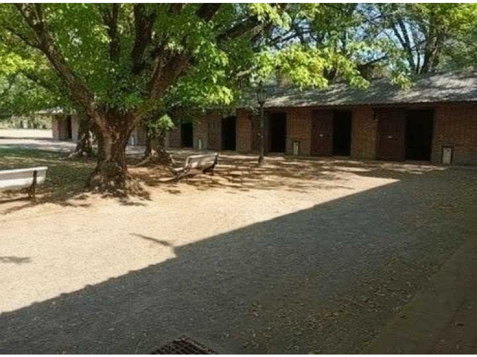 HARAS 60 HECTAREAS, SAN ANDRES DE GILES, BUENOS AIRES, ARGENTINA - 2