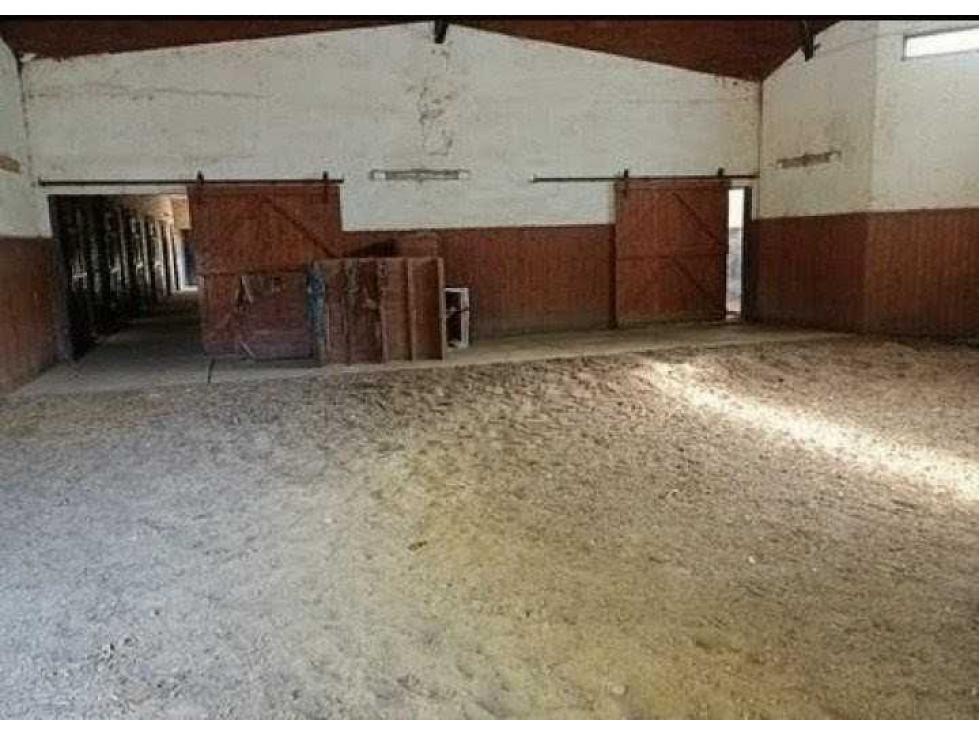 HARAS 60 HECTAREAS, SAN ANDRES DE GILES, BUENOS AIRES, ARGENTINA - 3