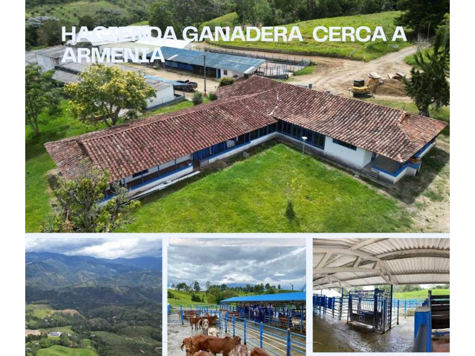 HATO GANADERO CON PROYECCION A TURISMO Y PRODUCCIÓN.