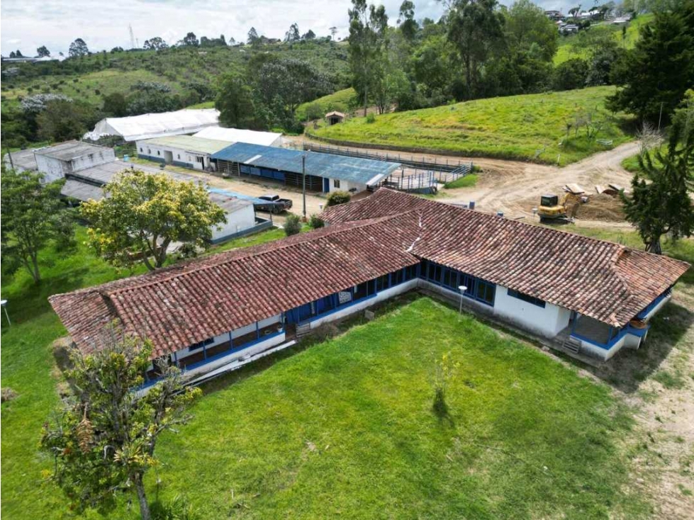 HATO GANADERO CON PROYECCION A TURISMO Y PRODUCCIÓN. — foto 3