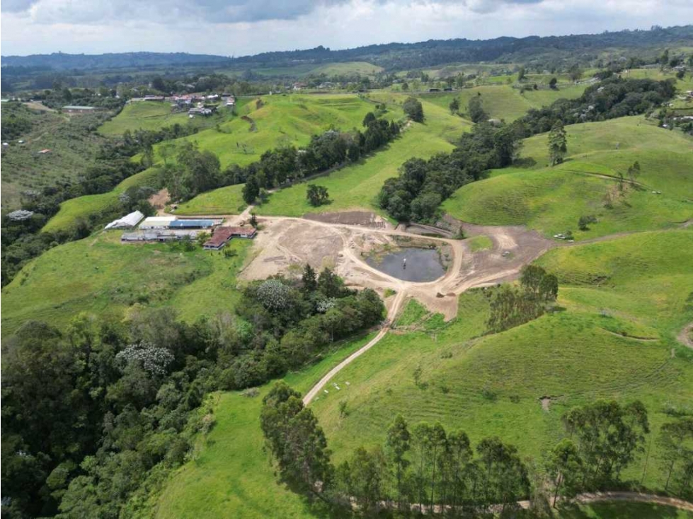 HATO GANADERO CON PROYECCION A TURISMO Y PRODUCCIÓN. — foto 5