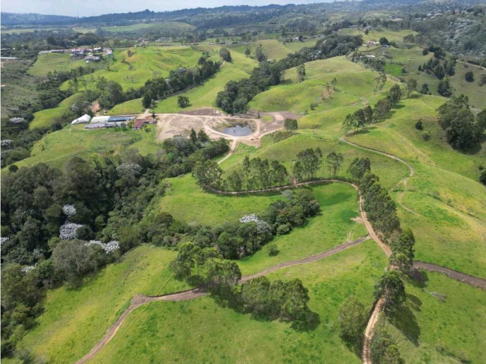 HATO GANADERO CON PROYECCION A TURISMO Y PRODUCCIÓN. — foto 6