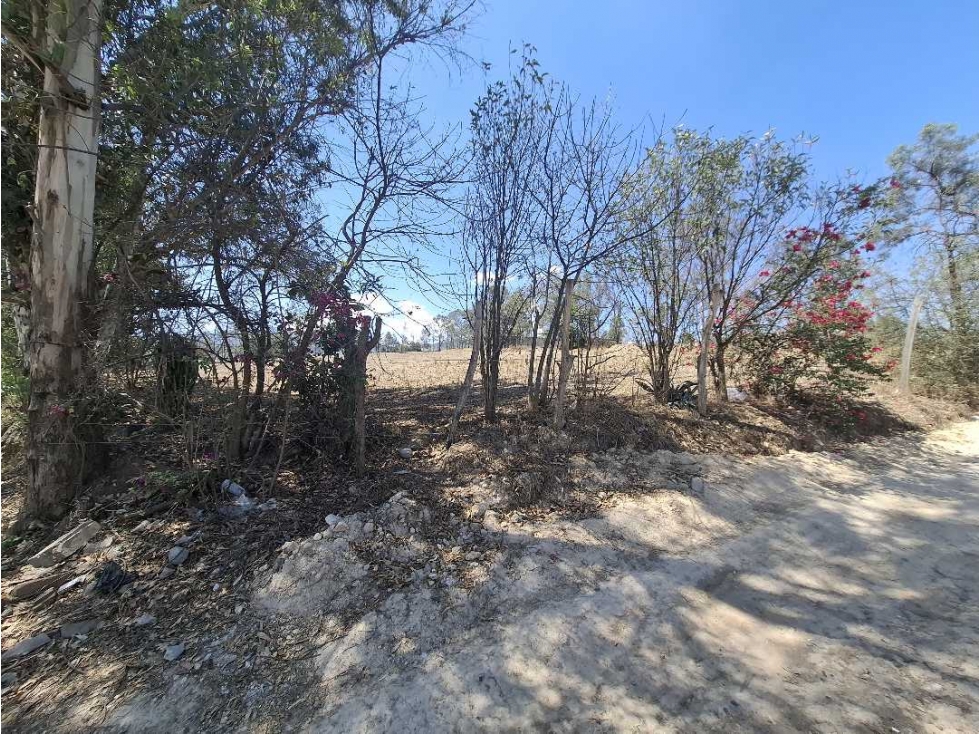 HECTAREA EN VENTA AMALIA SOLORZANO UBICADO EN AVENIDA — foto 2