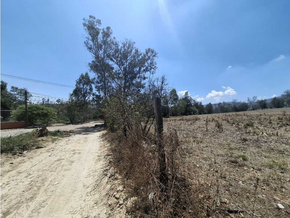 HECTAREA EN VENTA AMALIA SOLORZANO UBICADO EN AVENIDA — foto 3