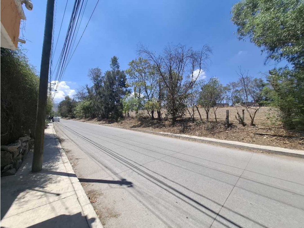 HECTAREA EN VENTA AMALIA SOLORZANO UBICADO EN AVENIDA — foto 4