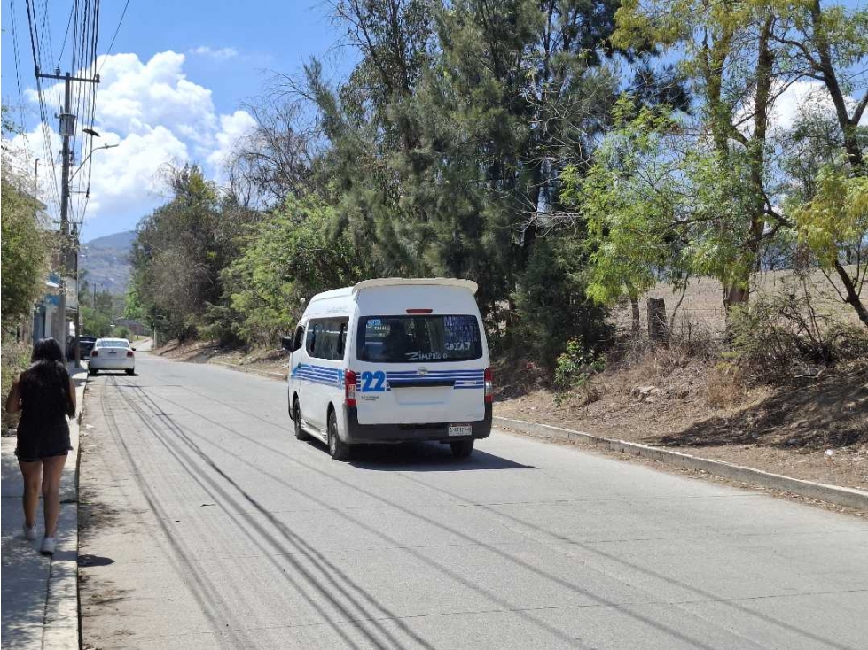 HECTAREA EN VENTA AMALIA SOLORZANO UBICADO EN AVENIDA — foto 5