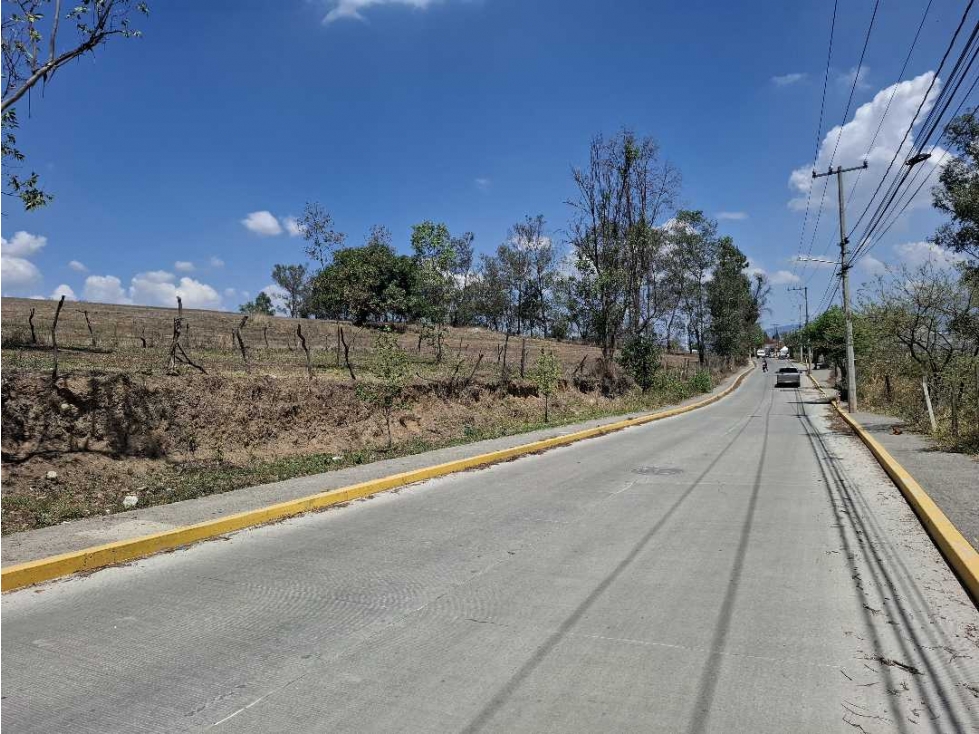 HECTAREA EN VENTA AMALIA SOLORZANO UBICADO EN AVENIDA — foto 6