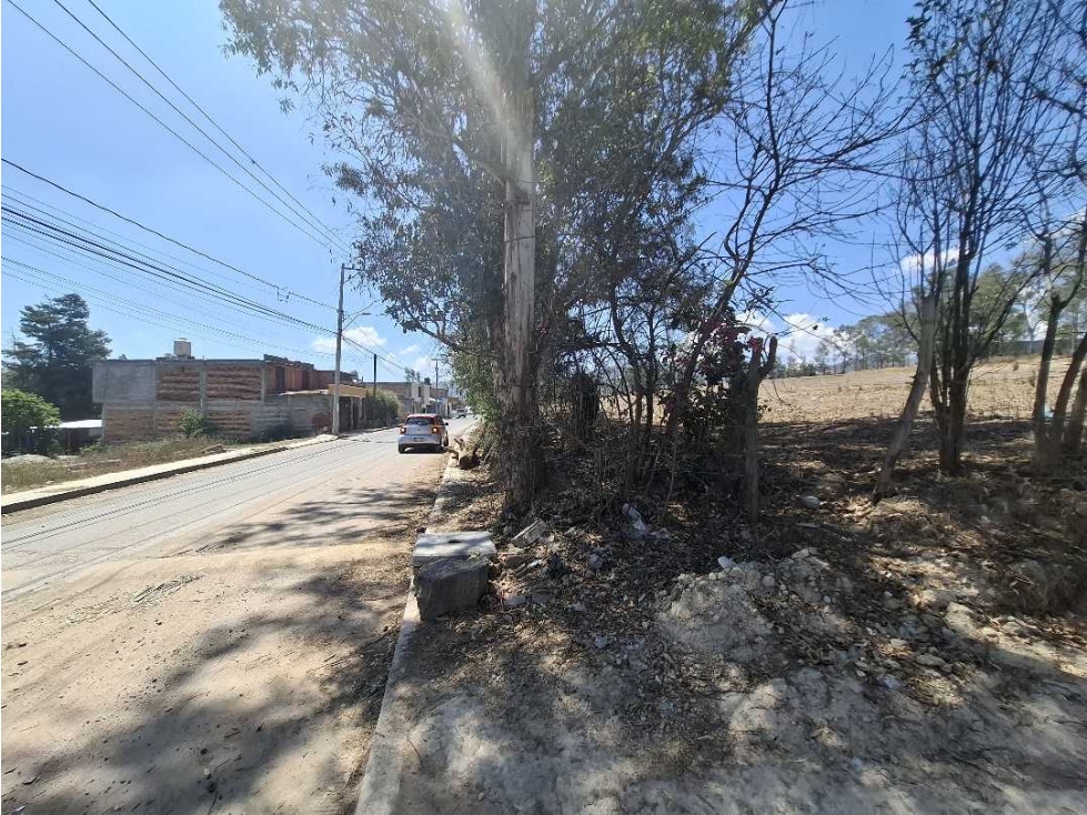 HECTAREA EN VENTA AMALIA SOLORZANO UBICADO EN AVENIDA