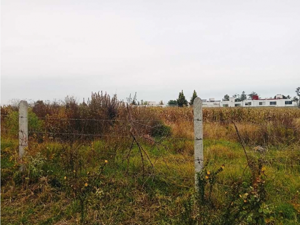 HECTAREA EN VENTA EL DURAZNO ALTOZANO — foto 2