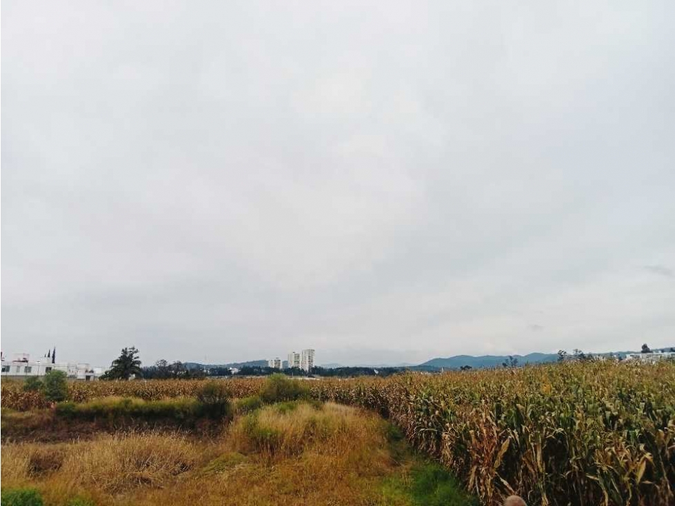 HECTAREA EN VENTA EL DURAZNO ALTOZANO — foto 3