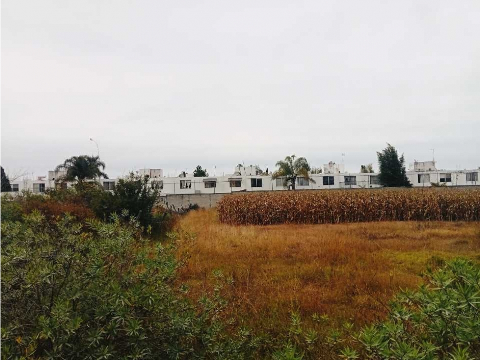 HECTAREA EN VENTA EL DURAZNO ALTOZANO — foto 5