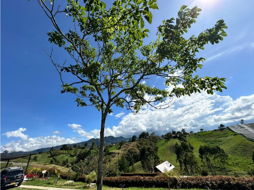 Hermosa casa campestre en el Carmen de Viboral vereda Cristo Rey — foto 6