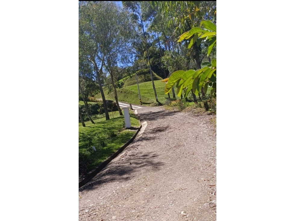 Hermosa lote en Guatape en parcelación en la vereda El Roble — foto 3