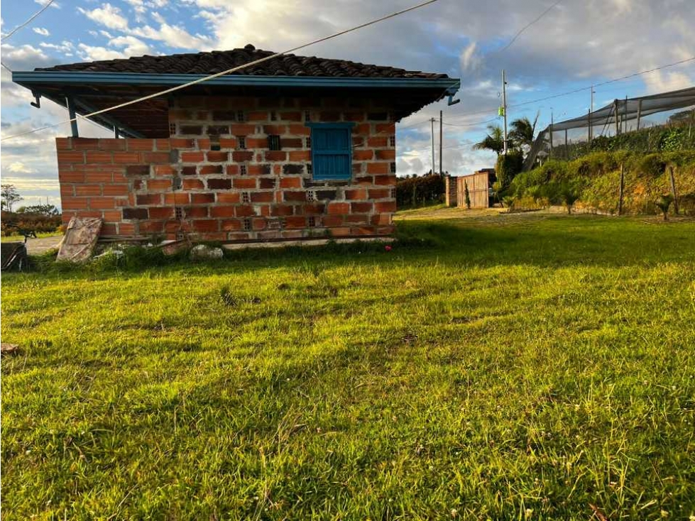 HERMOSA CASA FINCA TRADICIONAL EN VENTA EN EL CARMEN DE VIBORAL ANT. — foto 5
