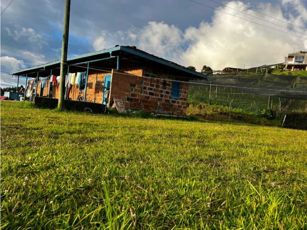 HERMOSA CASA FINCA TRADICIONAL EN VENTA EN EL CARMEN DE VIBORAL ANT. — foto 6
