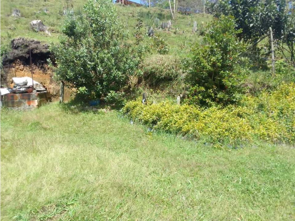 HERMOSA CASA FINCA TRADICIONAL EN VENTA EN SAN VICENTE FERRER ANT. — foto 6