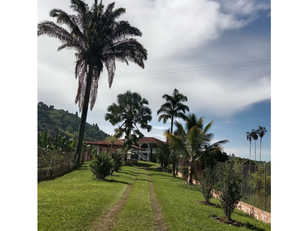 HERMOSA FINCA A SOLO 25 MINUTOS DE MANIZALEZ — foto 2