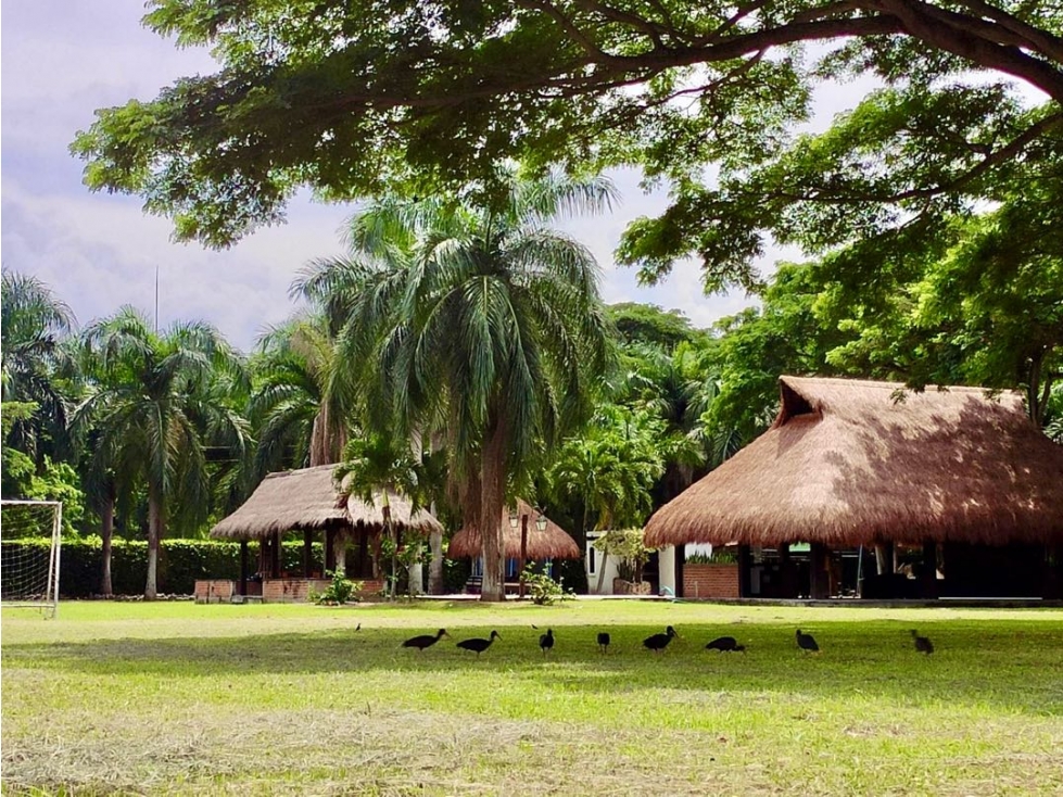 Hermosa finca colonial en venta - Rozo Palmira Valle Colombia - 4