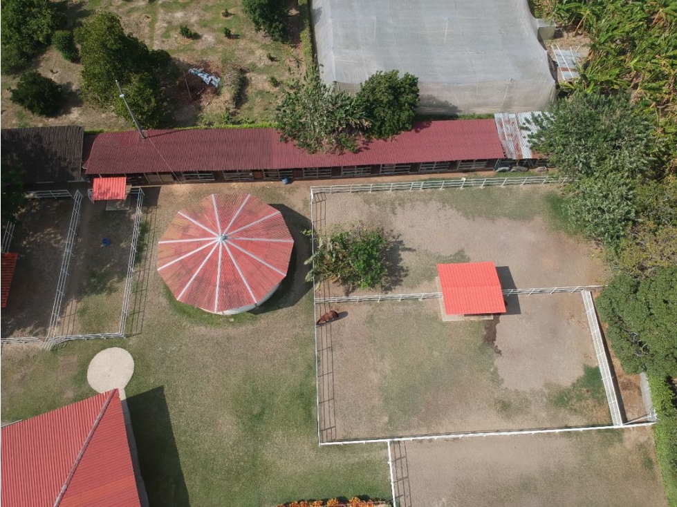 Hermosa finca de 6.400m2 en venta / permuta Rozo Valle Colombia — foto 4