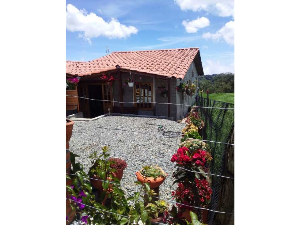 HERMOSA FINCA EN BELLO LA CHINA GANGA..280. MILLONES TODO AL DÍA