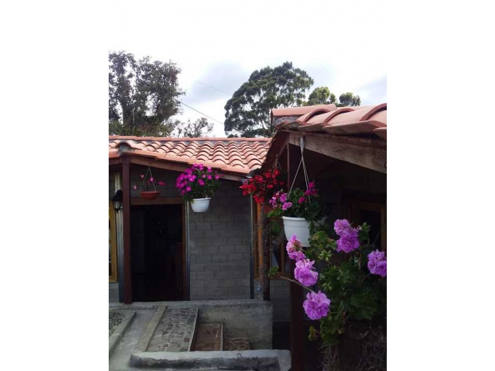 HERMOSA FINCA EN BELLO LA CHINA GANGA..280. MILLONES TODO AL DÍA — foto 2