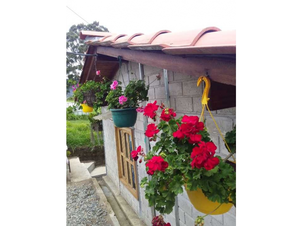 HERMOSA FINCA EN BELLO LA CHINA GANGA..280. MILLONES TODO AL DÍA — foto 4
