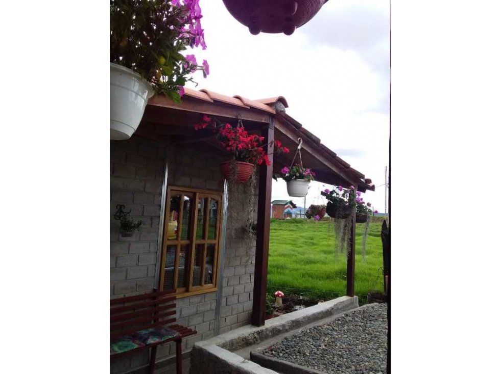 HERMOSA FINCA EN BELLO LA CHINA GANGA..280. MILLONES TODO AL DÍA — foto 5
