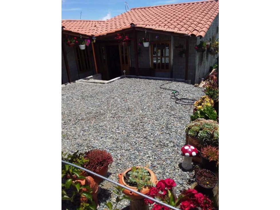 HERMOSA FINCA EN BELLO LA CHINA GANGA..280. MILLONES TODO AL DÍA — foto 6