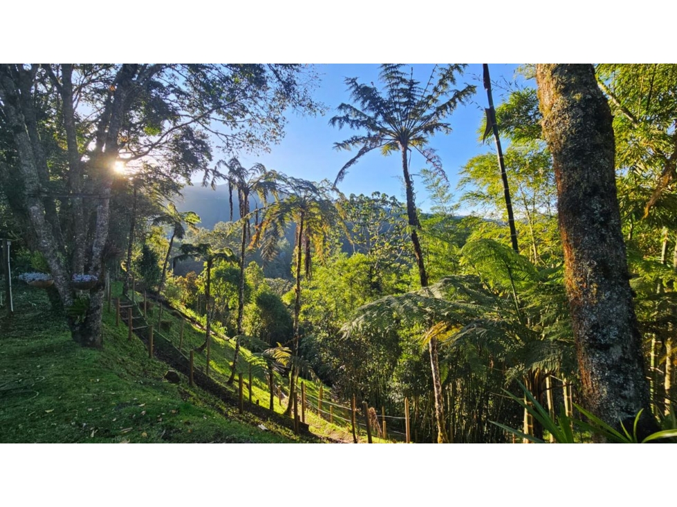 Hermosa finca en El Retiro, Antioquia sector Fizebad — foto 6