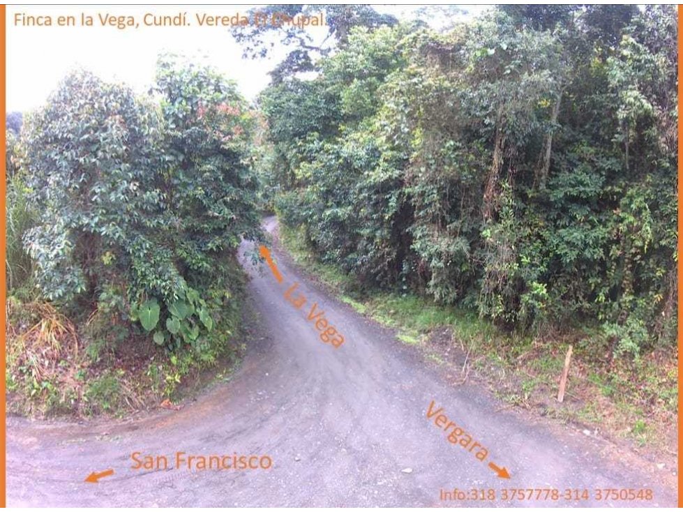 Hermosa Finca en La Vega - 5
